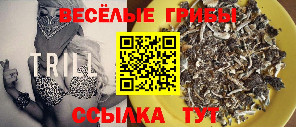 Псилоцибиновые грибы ЛСД Белореченск